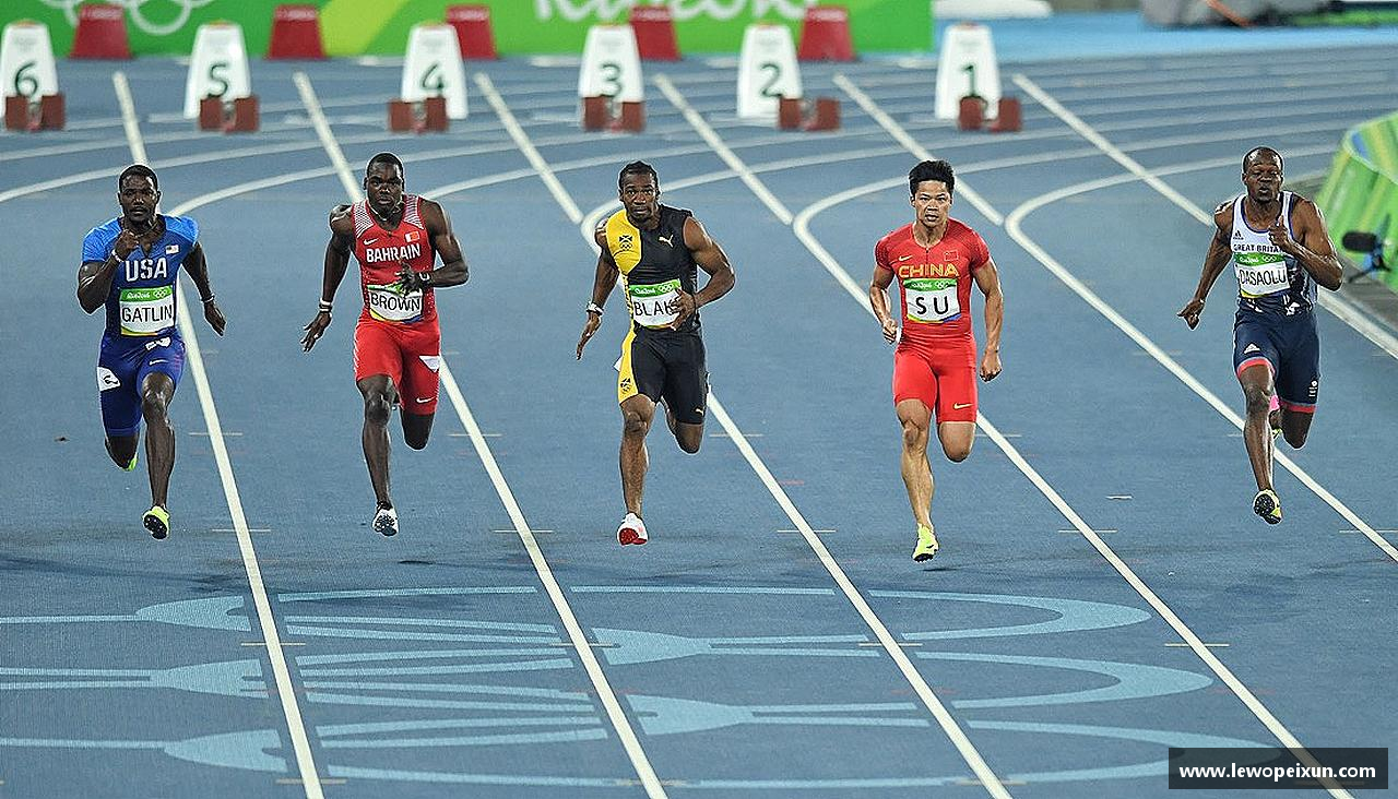 球迷群英汇聚拥抱挑战，成就辉煌！